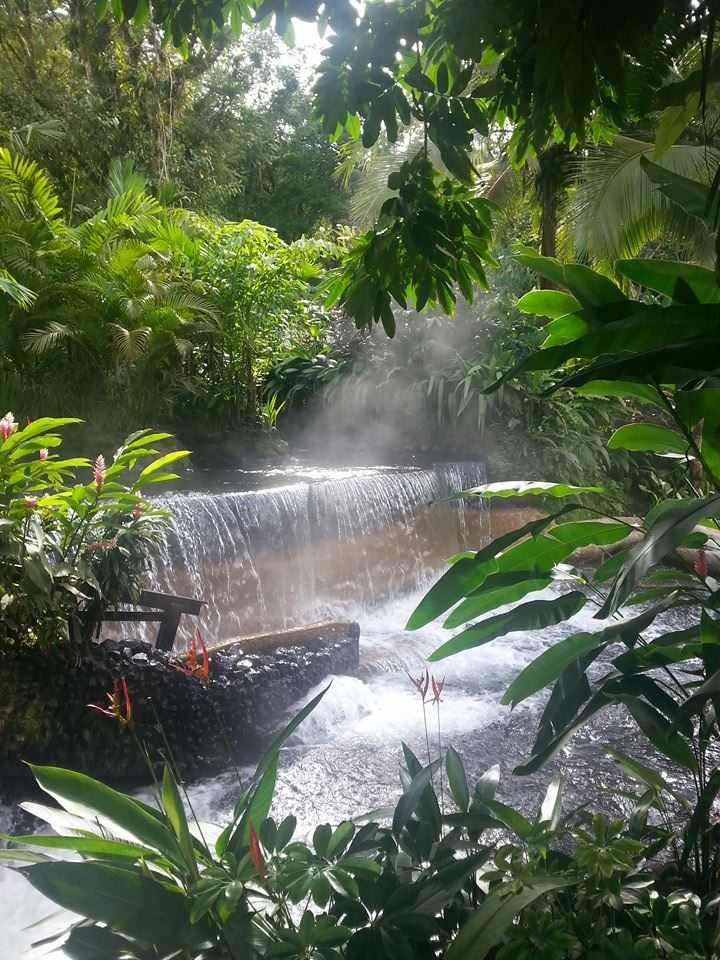 코스카리카 타바콘.jpg.jpeg